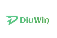 Diuwin A Modern Digital Identity Shaping Innovation