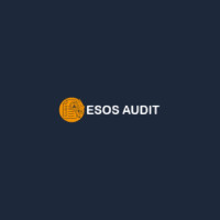 ESOS Audit Ltd