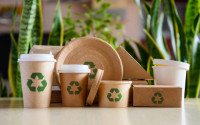 Eco Friendly Boxes in Texas