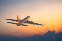 Book Your Flight