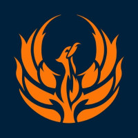 Fenix Insight
