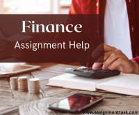 Looking for High-Quality Finance Assignment Help for UK Students