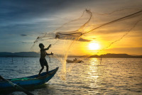 Exciting Adventures Await with Deep Sea Fishing Florida