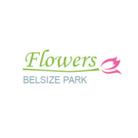 Belsize Park Flowers