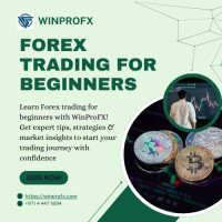 Best Forex Trading Platform for Beginners in India – WinProFX