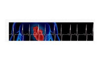 Dr Girish Ganesha Babu