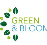 Green & Bloom Florists