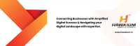 Hawkium Digital Marketing Agency
