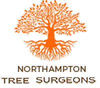 B&S Tree and Landscapes