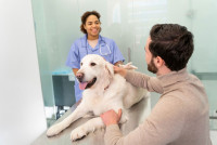 Compassionate Pet Care When It Matters Most