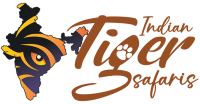 Best Wildlife Tours and Jungle Tiger Safari Adventures In India
