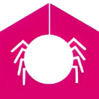 Jumping Spider Media