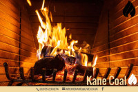 Premium Kiln-Dried Logs in Glasgow | Firewood for Outdoor Fire Pits