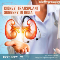 Best Kidney Transplant Hospital in India