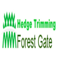 Hedge Trimming Forest Gate