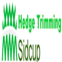 Hedge Trimming Sidcup