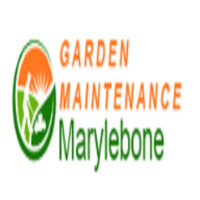 Garden Maintenance Marylebone