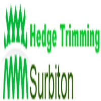 Hedge Trimming Surbiton