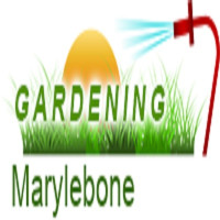 Gardening Marylebone