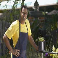 Pressure Washing Fulham