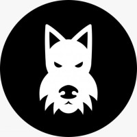 Terrier Agency