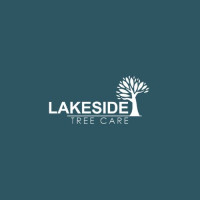 Lake Side Tree Care – Tree Surgeons in Glossop