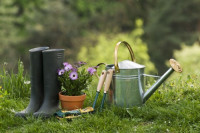 Landscapers St Johns Wood