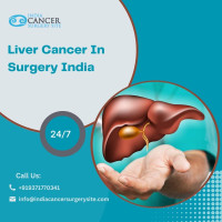 Liver Cancer Best Hospital in India