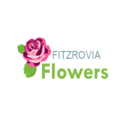 Fitzrovia Flowers