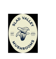 Slad Valley Mushrooms