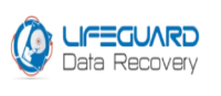 Lifeguard data recovery