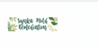 Synka Mold Remediation