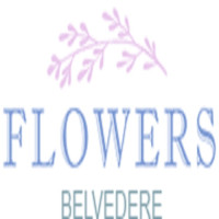 Flowers Belvedere