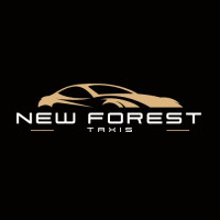 Airports Cars New Forest