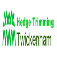 Hedge Trimming Twickenham