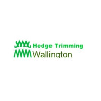 Hedge Trimming Wallington