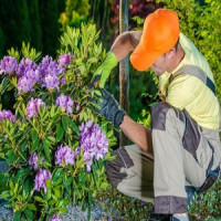 Gardener Bow