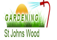 Gardening St Johns Wood