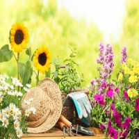 Landscapers Kensington