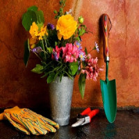 Landscapers Hackney