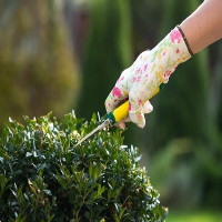 Landscapers Kilburn