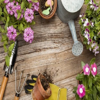 Landscapers Hammersmith