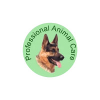 Dog Training in Bath - Woodborough Kennels Ltd