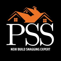 Professional Snagging Survey