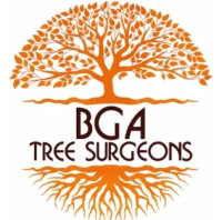 BGA Trees