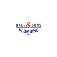 Jacksonville’s Trusted Choice – Hall & Sons Plumbing Services Jacksonville FL
