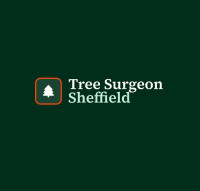 Tree Surgeon Sheffield