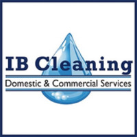 I B Cleaning