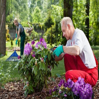 Gardening Brompton