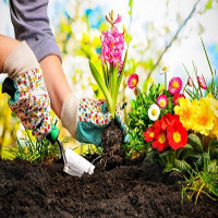 Gardening Camberwell